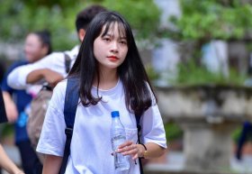 Khối D có những nhóm ngành nào?