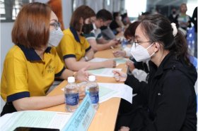 Gần 80% lao động đang tìm việc có trình độ đại học trở lên