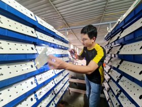 Bỏ nghề tiếp viên hàng không, 8X liều chở nước biển về Hà Nội… nuôi cua lột